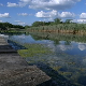 Упозорење на Дан влажних станишта – заслужна су за воду, храну, чист ваздух, а губимо их великом брзином