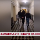 Хапшења и у Нишу и на Хоргошу