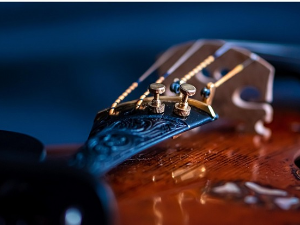 Уметност интерпретације – Виолиста Тимоти Ридаут Уметност интерпретације – Виолиста Тимоти Ридаут