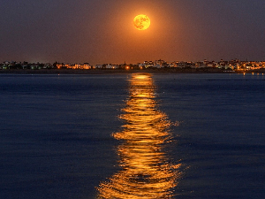 Ритам летње ноћи