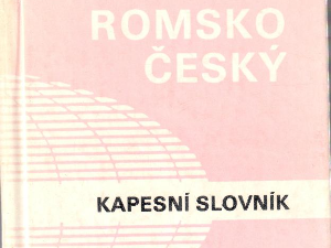 Борба за ромски језик и идентитет