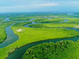 Спасавање раја: Дивљи архипелаг Бижагос, 4-6