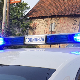 Два власничка пса усмртила старицу у Бачкој Паланци
