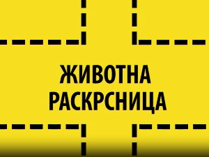 Животна раскрсница:	Зависност