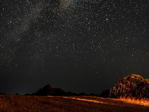 Боја, звук и покрет