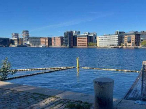 Возом по зеленој Европи: Копенхаген