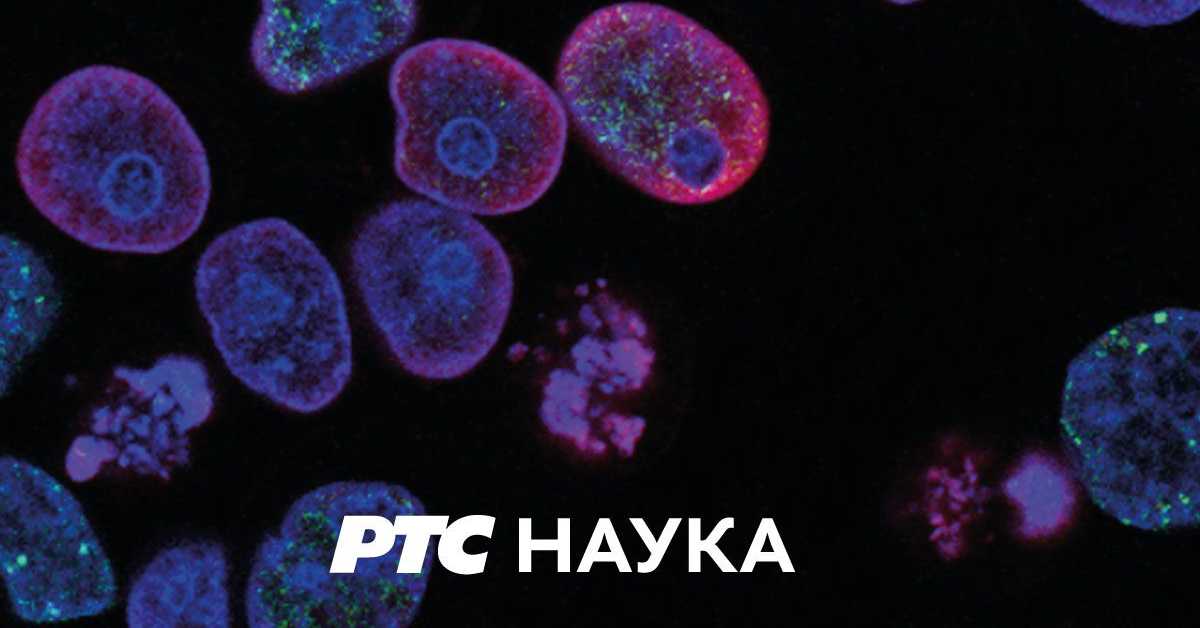 Приђи ближе: Бал под маскама, 12. еп.