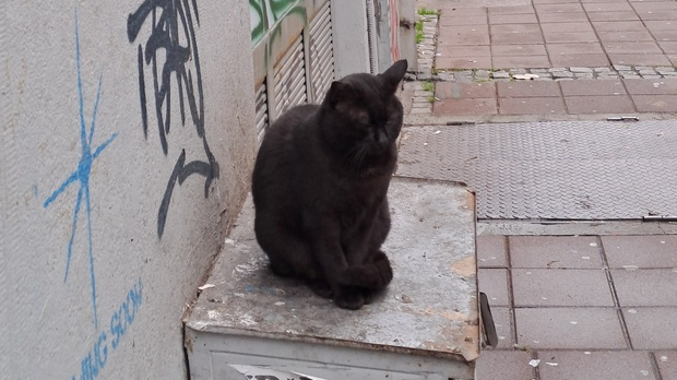 Јутарњи викенд програм