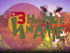 Знање имање-17.11.2024.