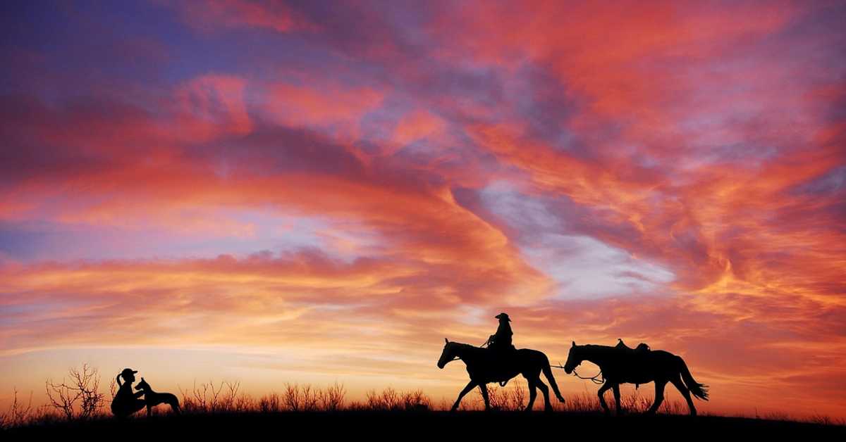 Нова студија: Пси прате људе у миграцијама широм Евроазије већ 10.000 година