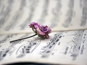 Бернард Херман