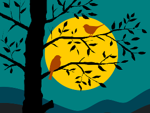 Мале ноћне приче