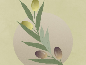 Клик: Грчка 4