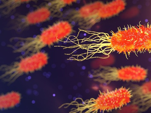 Како видети невидљиво – нови микроскоп открива скривене светове ћелија