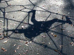 Када заштитници постану злостављачи – малолетнице у ланцу трговине људима