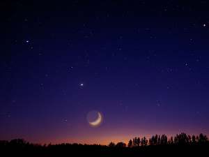 Мале ноћне приче