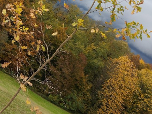 Еколошки магазин