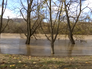 После обилних падавина, покренуло се клизиште у Предејану   