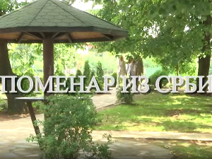 Еко минијатуре, споменар из Србије- Зелени змај