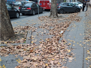 Јутарњи викенд програм