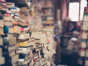 Свет спорта, културе, забаве и добре музике