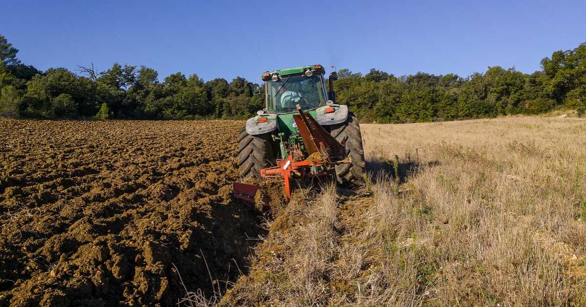 Гламочић: Субвенције пољопривредницима остају исте, али ће бити промена код директних давања