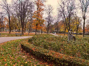 Топао и ветровит новембарски дан – увече облаци и киша
