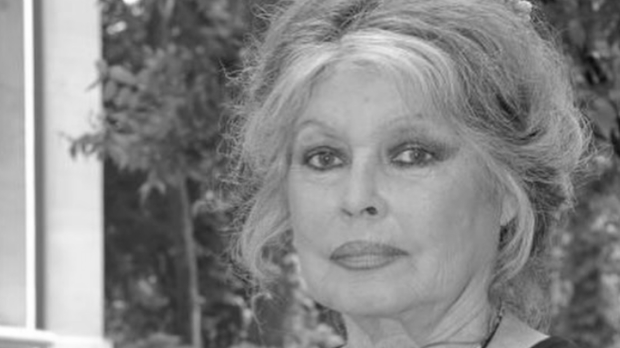 И Бог створи чувену 