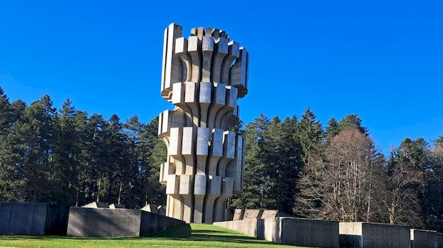 Сузе Козаре