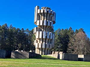 Сузе Козаре