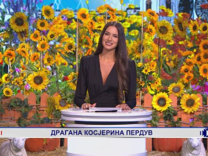 Ја волим Србију