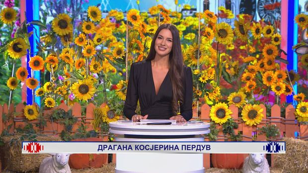 Ја волим Србију