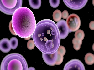  Каква је процедура за лечење малигног меланома у Русији