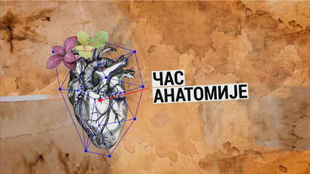 Час анатомије: Културна јавност