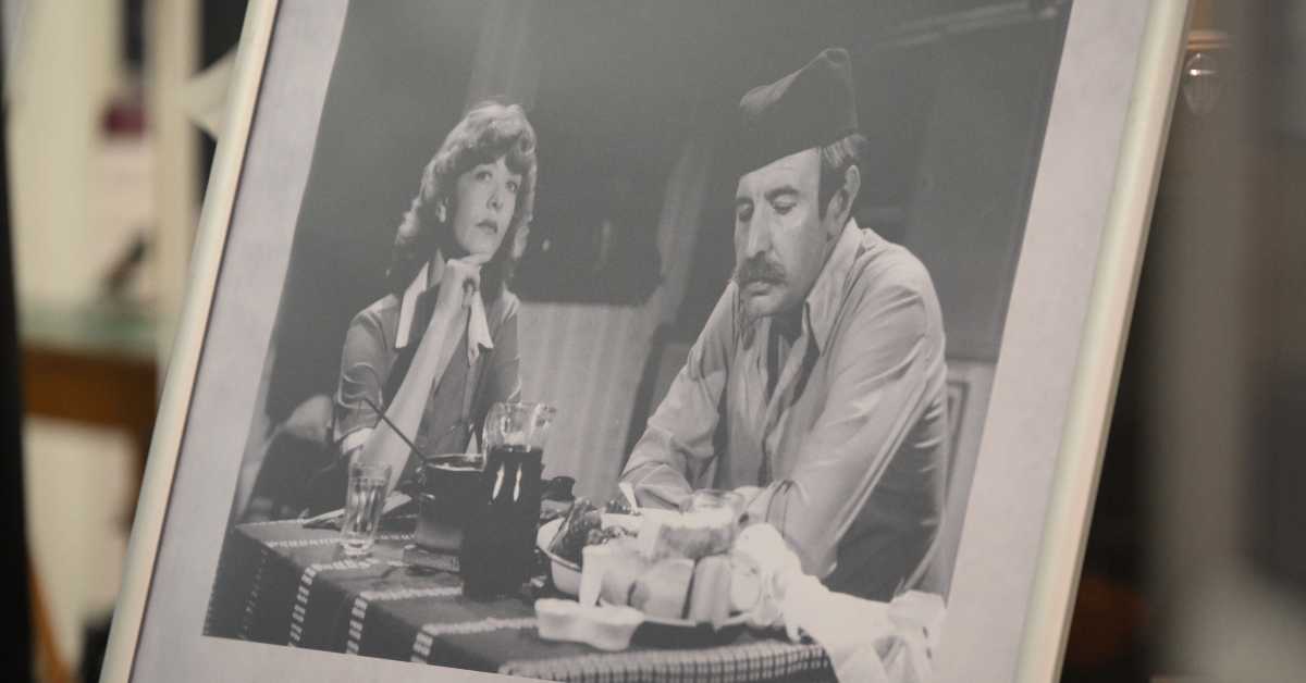 Зоран Радмиловић – на радију и телевизији