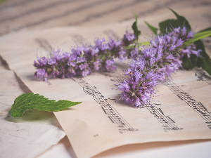 Антоњин Дворжак: Херојска песма 