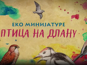 Птица на длану:	Славуј