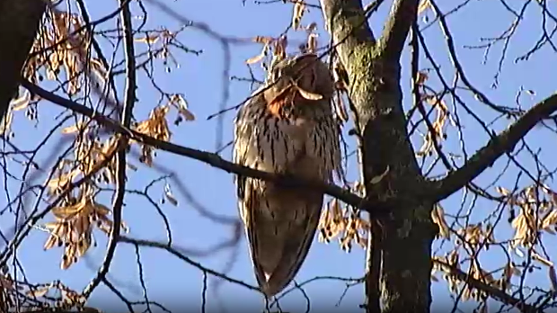 Корак ка науци