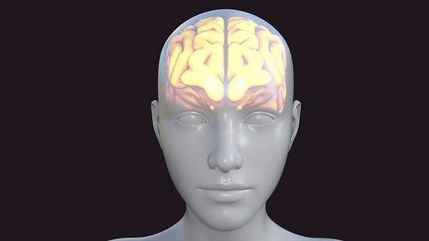 У свету неуронаука