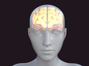 У свету неуронаука