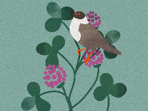 Добро јутро децо: Мала птица, Бибо