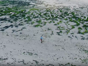 Фантастична планета