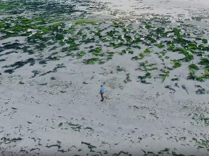 Фантастична планета