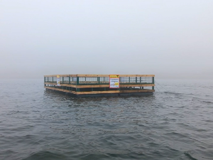 Власинска висораван: Сплав за гнежђење птица