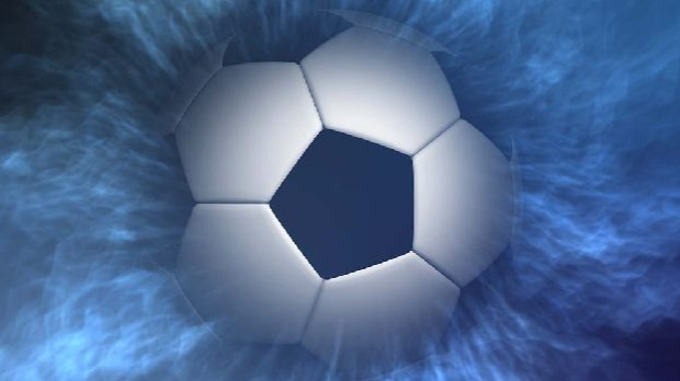 Новосадски шампиони