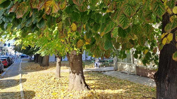 Јутарњи викенд програм