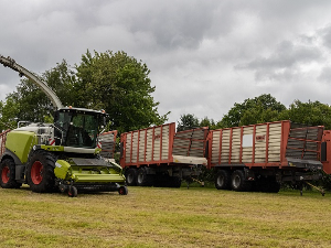 Биогас као кључ енергетске транзиције – има ли Србија снаге да искористи своје потенцијале