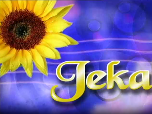 ЈЕКА - специјал