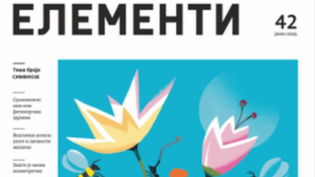 Елементи број 42 – Симбиоза