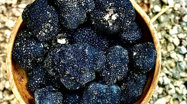  Тартуфи – црни дијаманти, између луксуза и свакодневице  